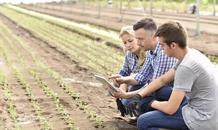 Sustainable Agriculture & Farm Management